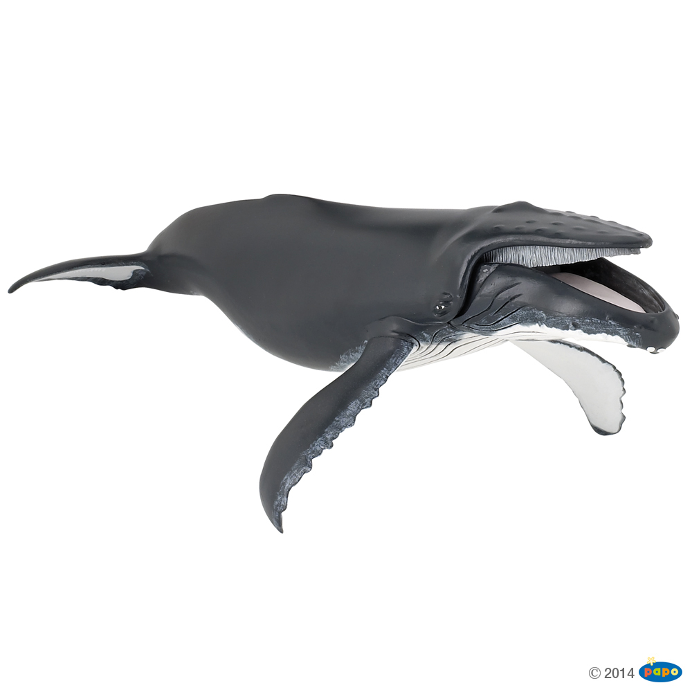 Papo Синий кит, арт. 56001
