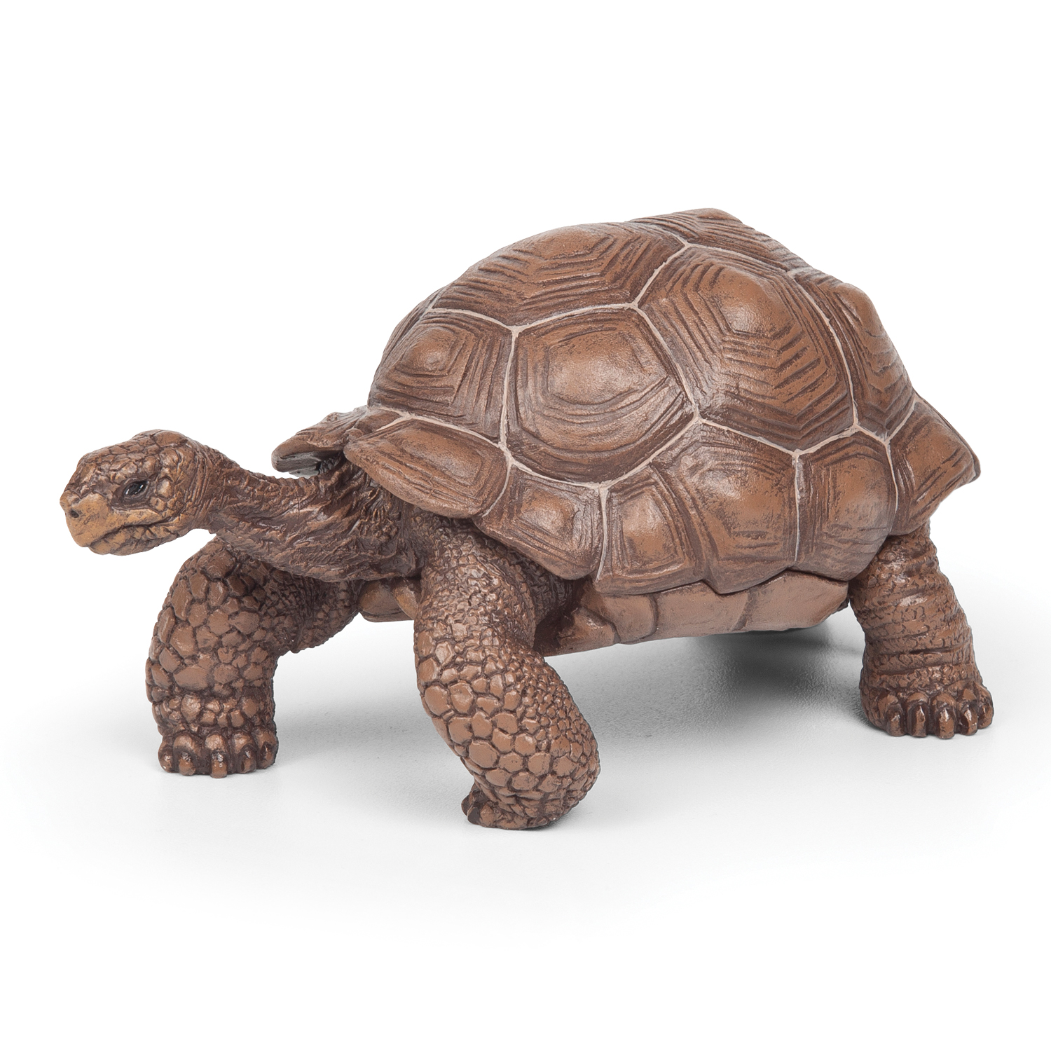 Papo Галапагосская черепаха, арт. 50161