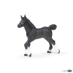 Papo Жеребенок англо-арабской лошади, арт.51530